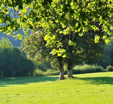 Söll im Herbst 2