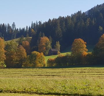 Söll im Herbst 3