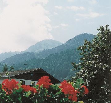 Sommer Aussicht Südappartement