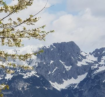 Wilder Kaiser Frühling 2