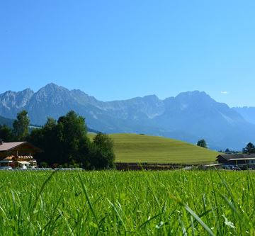 Blick zum Wilder Kaiser