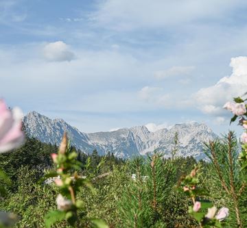 Appartements-Klammerhof_Sommer-11