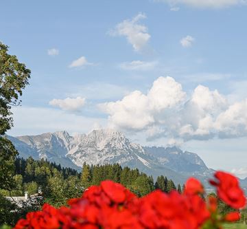 Appartements-Klammerhof_Sommer-27