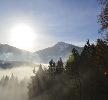 Nebel im Tal...