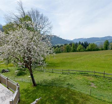 Aussicht Terrasse1