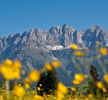 Wilder_Kaiser-1-3