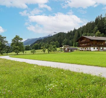 Ferienhaus am Erlachhof - Zufahrtsansicht