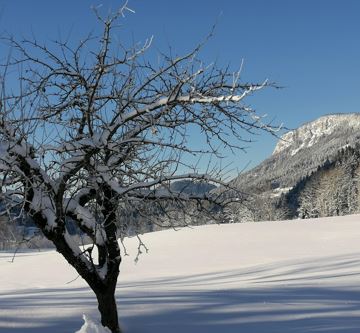 wunderbarer Ausblick