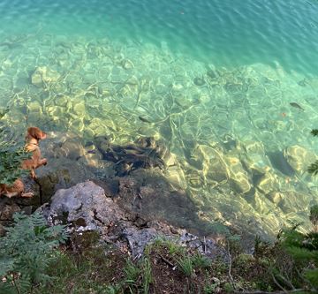 Am Hintersteiner See