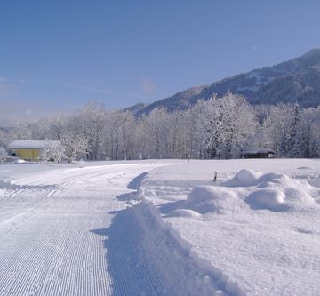 Aussicht Brandstadl WI neu