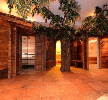 Sauna&Wellness