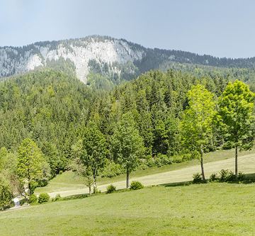 Söll-Landhaus-Ager-Gartenzimmer-Aussicht-Poelven