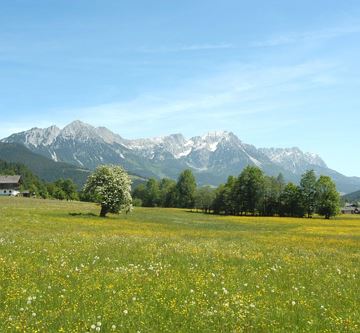 Ortsansicht Soell Blumenwiese_Soell_TVB Wilder Kai