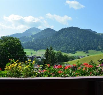 Blumen am Balkon