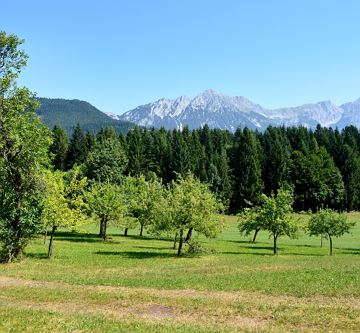 Ausblick Sommer