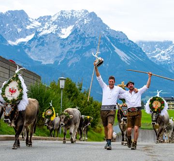 Hotel AlpenSchlössl