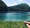 IMG_0503