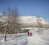 web-Winterwandern-Wilder-Kaiser-Foto-Roland-Defran