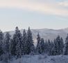 Ausblick nach SW Hartkaiser