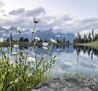 Going_Astbergsee_Sommer_2013_Peter_Felbert (5)