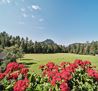 Scheffau_Bärnstatt_Aussicht_WilderKaiser