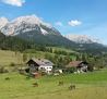 Blick zum Wilden Kaiser