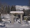 winter kaiser im Schnee