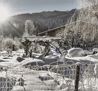 Wintergarten