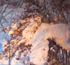 wintersonne