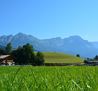 Blick zum Wilder Kaiser