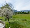 Aussicht Terrasse1