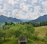 Ausblick