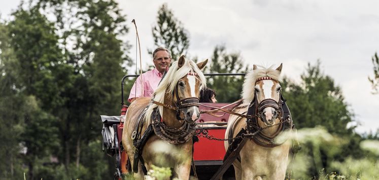 Horse-drawn carriage rides Achlhof