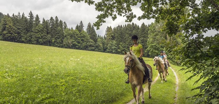 Achlhof - Reiten