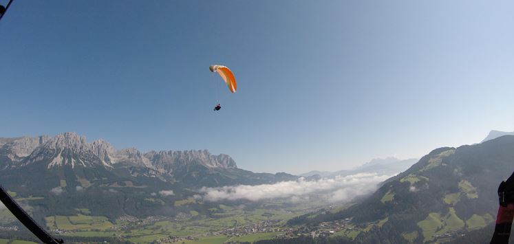 G0038138