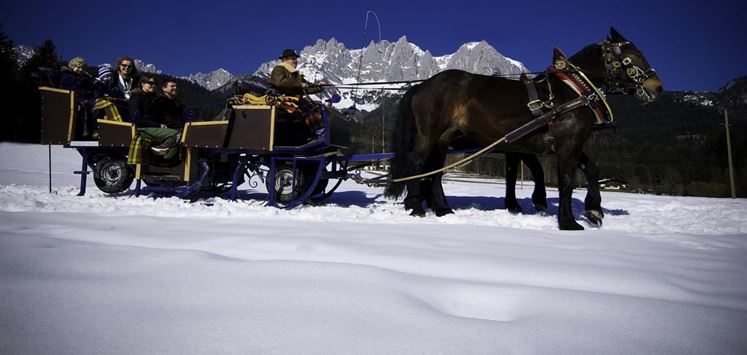 Horse sleigh ride Hechenberger