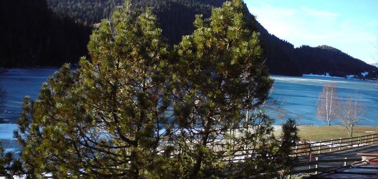 Seestüberl_Aussicht