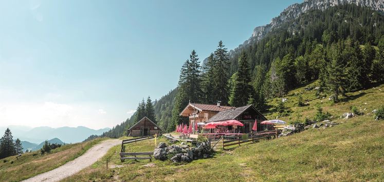 Steiner Hochalm