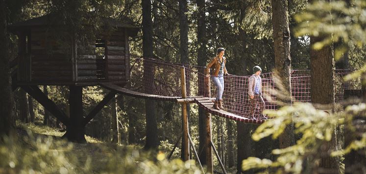 Scheffau_KaiserWelt_Wald_Baumhaus