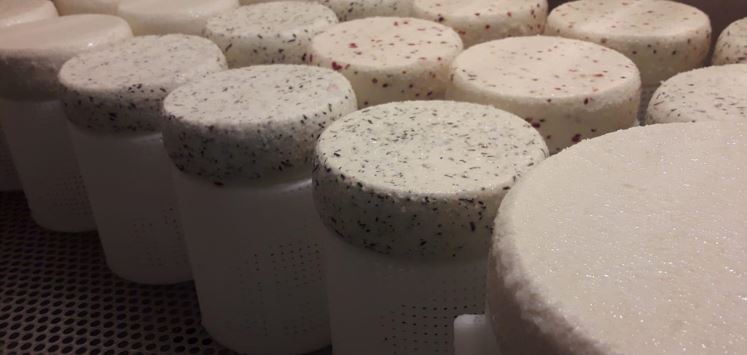 Söll_Käseproduktion_Wilder Kaiser