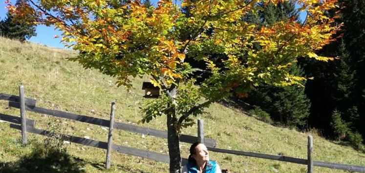 Söll_Marianne Herbst_Wilder Kaiser