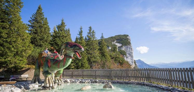 Steinplatte Waidring 1