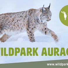 Wildpark Aurach