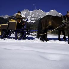 Horse sleigh ride Hechenberger