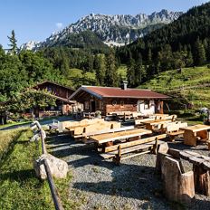 Pasture Hinterschießling Alm