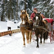 Horse drawn sledge Weiss