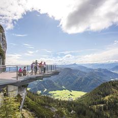 Triassic Park auf der Steinplatte