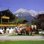Horse carriage ride along the trail of the