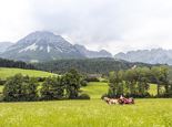 Horse drawn carriage ride to film locations around Ellmau