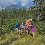 Wanderung im Goinger Hochmoor